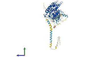 AlphaFold protein structure predicition of Mouse Recombinant Entpd7 Protein, UniprotID Q3TCT4