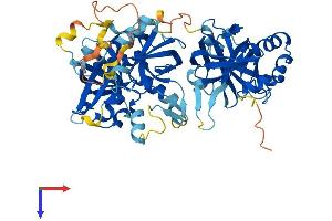 AlphaFold protein structure predicition of Human Recombinant TYSND1 Protein, UniprotID Q2T9J0