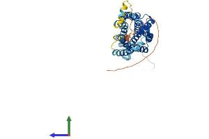AlphaFold protein structure predicition of Human Recombinant CCR2 Protein, UniprotID P41597