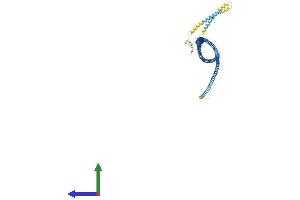 AlphaFold protein structure predicition of Human Recombinant ODF2L Protein, UniprotID Q9ULJ1