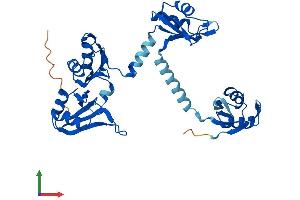 AlphaFold protein structure predicition of Human Recombinant PABPC5 Protein, UniprotID Q96DU9
