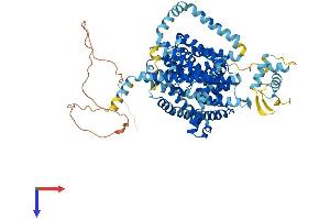 AlphaFold protein structure predicition of Human Recombinant SLC28A3 Protein, UniprotID Q9HAS3