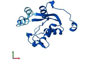 AlphaFold protein structure predicition of Human Recombinant NME2P1 Protein, UniprotID O60361
