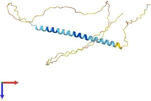 AlphaFold protein structure predicition of Human Recombinant TCEAL4 Protein, UniprotID Q96EI5