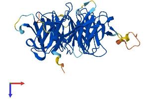 AlphaFold protein structure predicition of Human Recombinant WDR45 Protein, UniprotID Q9Y484