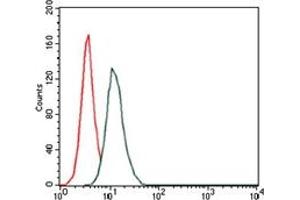 Flow Cytometry (FACS) image for anti-Hyaluronan Synthase 3 (HAS3) antibody (ABIN1107625)
