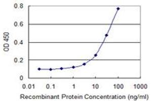 Detection limit for recombinant GST tagged PKMYT1 is 1 ng/ml as a capture antibody.