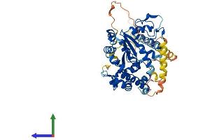 AlphaFold protein structure predicition of Human Recombinant CHST3 Protein, UniprotID Q7LGC8