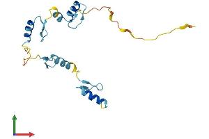 AlphaFold protein structure predicition of Human Recombinant ZNF576 Protein, UniprotID Q9H609