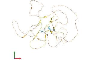 AlphaFold protein structure predicition of Mouse Recombinant Bcas1 Protein, UniprotID Q80YN3
