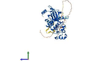 AlphaFold protein structure predicition of Human Recombinant CDK8 Protein, UniprotID P49336