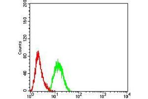 Flow cytometric analysis of Hela cells using DNMT3A mouse mAb (green) and negative control (red).