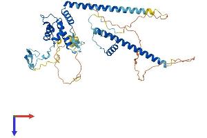 AlphaFold protein structure predicition of Mouse Recombinant Dmap1 Protein, UniprotID Q9JI44