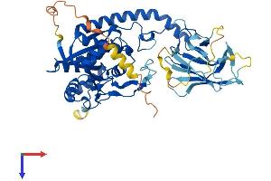 AlphaFold protein structure predicition of Mouse Recombinant B3galnt2 Protein, UniprotID Q8BG28