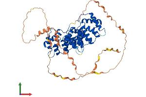 AlphaFold protein structure predicition of Human Recombinant ANXA11 Protein, UniprotID P50995