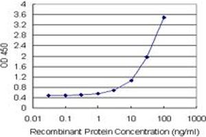 Sandwich ELISA detection sensitivity ranging from 1 ng/mL to 100 ng/mL. (ENG (Humain) Matched Antibody Pair)