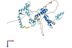 AlphaFold protein structure predicition of Human Recombinant ZNF275 Protein, UniprotID Q9NSD4