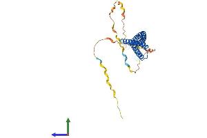 AlphaFold protein structure predicition of Human Recombinant VPS37B Protein, UniprotID Q9H9H4