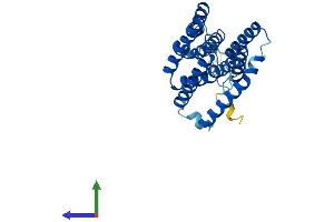 AlphaFold protein structure predicition of Mouse Recombinant Pigc Protein, UniprotID Q9CXR4