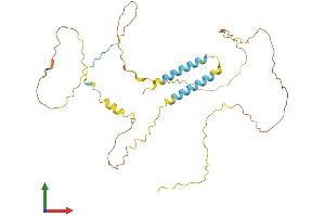 AlphaFold protein structure predicition of Human Recombinant BSND Protein, UniprotID Q8WZ55