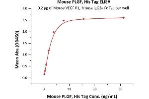 Immobilized Mouse VEGF R1, Mouse IgG2a Fc Tag, low endotoxin (ABIN5674650,ABIN6253654) at 2 μg/mL (100 μL/well) can bind Mouse PLGF, His Tag (ABIN5955013,ABIN6253571) with a linear range of 0.