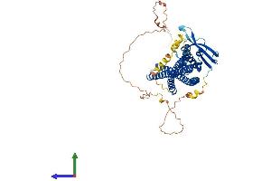 AlphaFold protein structure predicition of Human Recombinant SNX1 Protein, UniprotID Q13596
