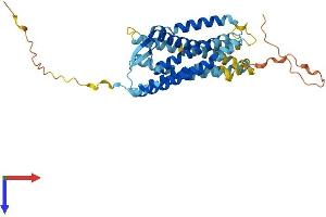 AlphaFold protein structure predicition of Mouse Recombinant Ccr10 Protein, UniprotID Q9JL21