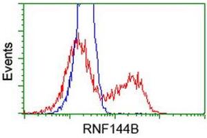 Image no. 2 for anti-Ring Finger Protein 144B (RNF144B) (AA 1-256) antibody (ABIN1490651)