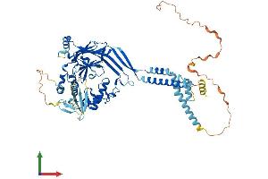 AlphaFold protein structure predicition of Human Recombinant SCNN1G Protein, UniprotID P51170