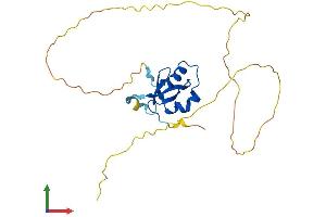 AlphaFold protein structure predicition of Human Recombinant HDGF Protein, UniprotID P51858