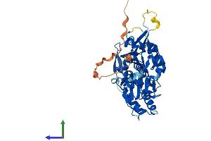 AlphaFold protein structure predicition of Mouse Recombinant Actl7b Protein, UniprotID Q9QY83
