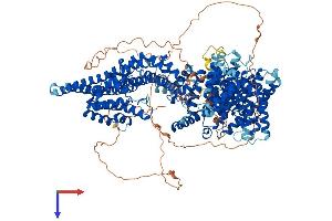 AlphaFold protein structure predicition of Mouse Recombinant Stag1 Protein, UniprotID Q9D3E6