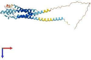 AlphaFold protein structure predicition of Mouse Recombinant Odf4 Protein, UniprotID Q8VI88