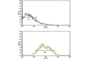 Flow cytometric analysis of HepG2 cells using ALK1 antibody (bottom histogram) compared to a negative control (top histogram).