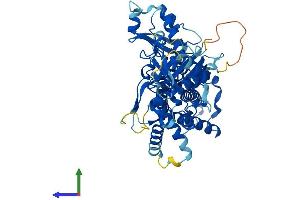 AlphaFold protein structure predicition of Mouse Recombinant Dalrd3 Protein, UniprotID Q6PJN8