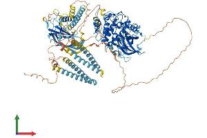 AlphaFold protein structure predicition of Mouse Recombinant Pkn2 Protein, UniprotID Q8BWW9