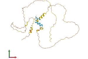 AlphaFold protein structure predicition of Mouse Recombinant Cited2 Protein, UniprotID O35740