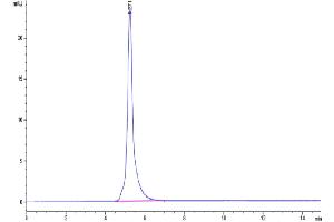 The purity of Cynomolgus EPHA2 is greater than 95 % as determined by SEC-HPLC.