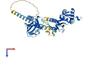 AlphaFold protein structure predicition of Human Recombinant VPS36 Protein, UniprotID Q86VN1