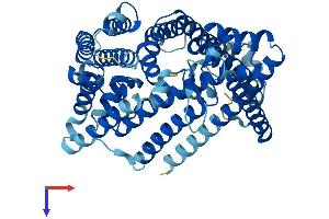 AlphaFold protein structure predicition of Mouse Recombinant Hhatl Protein, UniprotID Q9D1G3