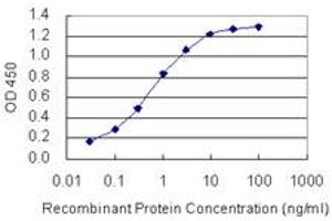 Detection limit for recombinant GST tagged FOXD4L1 is 0.