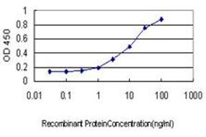 Detection limit for recombinant GST tagged USF2 is approximately 0. (USF2 anticorps  (AA 1-100))