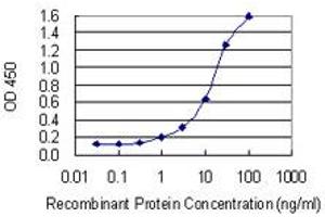 Detection limit for recombinant GST tagged SPATA4 is 0.
