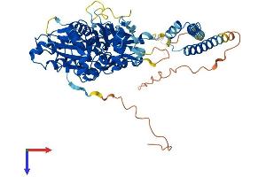 AlphaFold protein structure predicition of Human Recombinant ACTR5 Protein, UniprotID Q9H9F9