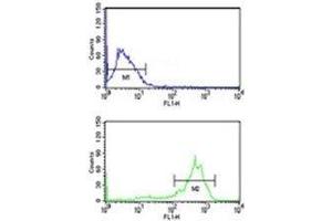 Anti-beta Tubulin antibody flow cytometry analysis of MCF-7 cells (bottom histogram) compared to a negative control cell (top histogram).
