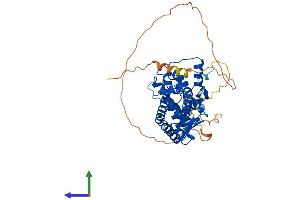 AlphaFold protein structure predicition of Mouse Recombinant Esrrg Protein, UniprotID P62509
