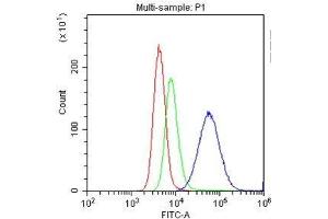 Flow Cytometry analysis of U937 cells using anti-CD11a antibody . (ITGAL anticorps  (AA 161-349))