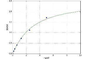 Talin 1 (TLN1) ELISA Kit