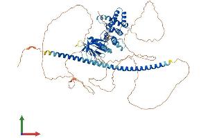 AlphaFold protein structure predicition of Human Recombinant ARHGAP24 Protein, UniprotID Q8N264