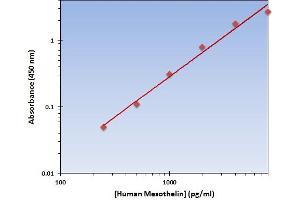 This is an example of what a typical standard curve will look like. (Mesothelin Kit ELISA)